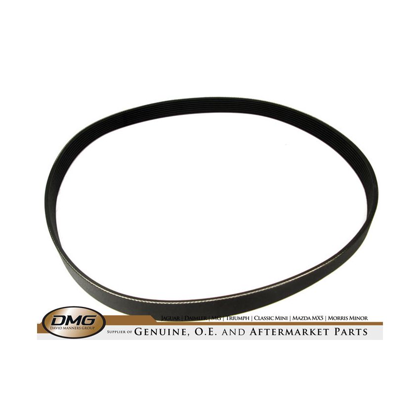 SUPERCHARGER DRIVE BELT:  XK8 EARLY,  XJ8 EARLY