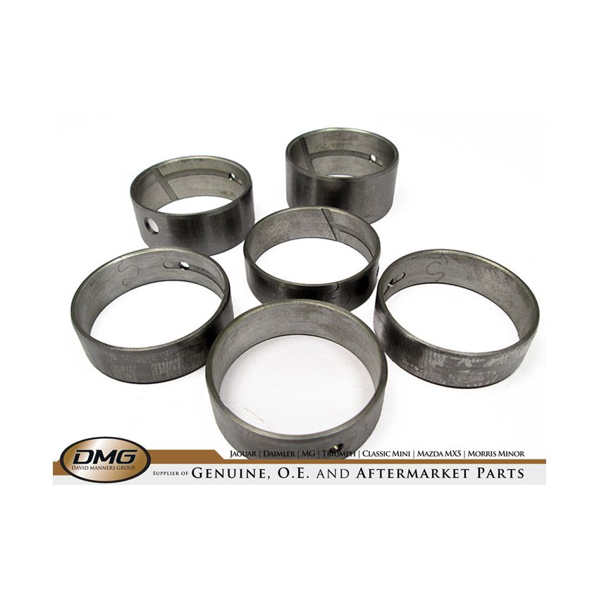CAMSHAFT BEARING KIT:  V8, DART