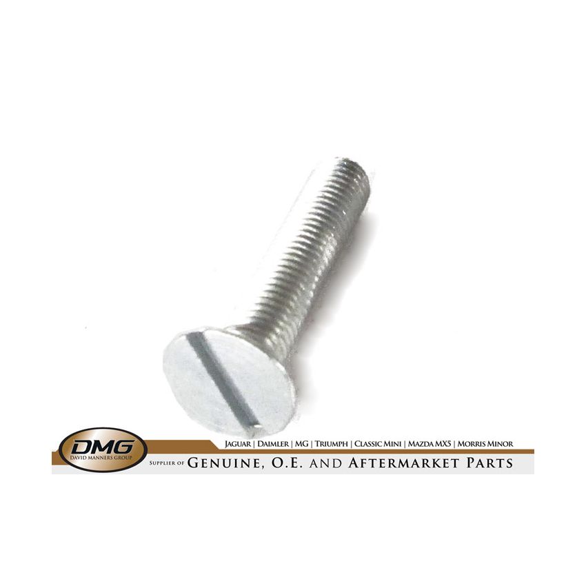 COUNTERSUNK SCREW:  MOST MODELS