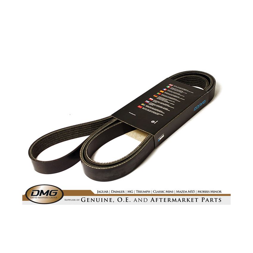 ENGINE DRIVE BELT:  S-TYPE DIESEL 2.7