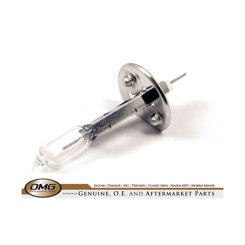 HEADLAMP / FOG BULB (H1 55W):  X-TYPE