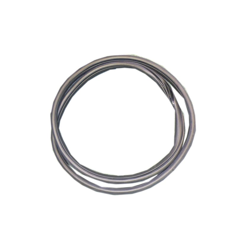 REAR DOOR APERTURE SEAL:  S-TYPE