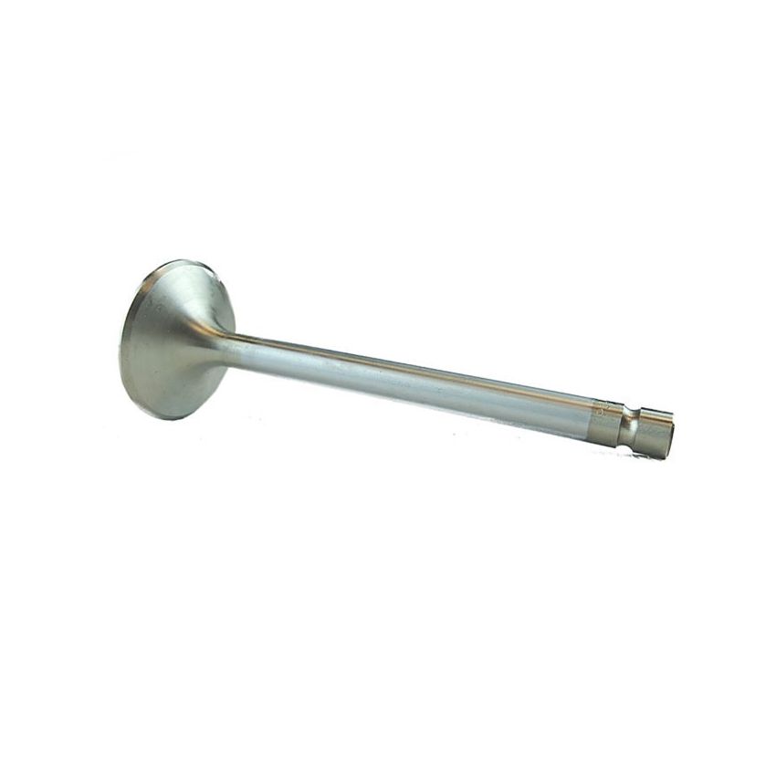 EXHAUST VALVE:  V8, DART