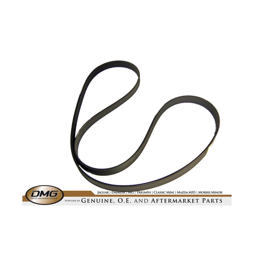 COMPRESSOR DRIVE BELT:  X-TYPE