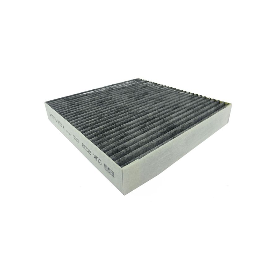 CARBON POLLEN FILTER:  XF, X351