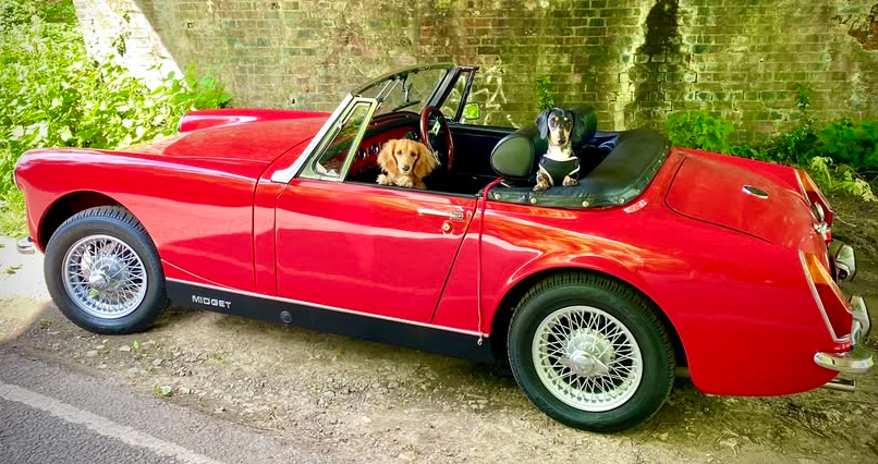 One car and it’s dog May Competition